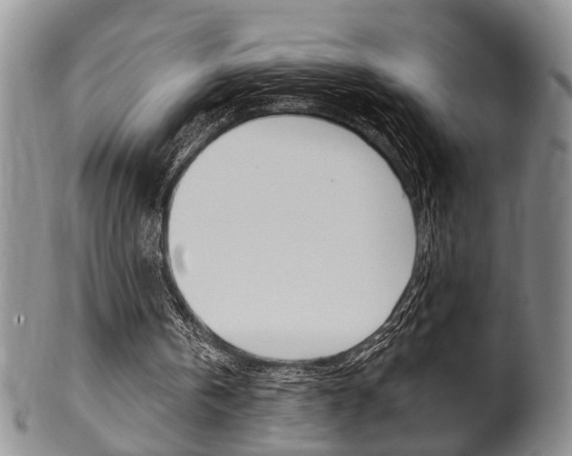 X0000102500146200808080952