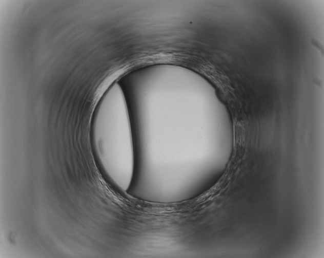 X0000102500147200808080952