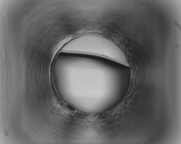 X0000102500148200808080952