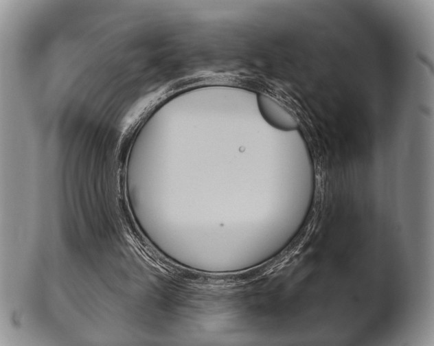 X0000102500149200808080952