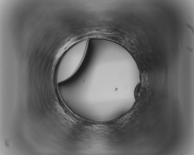 X0000102500150200808080952