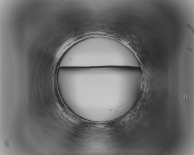 X0000102500151200808080952