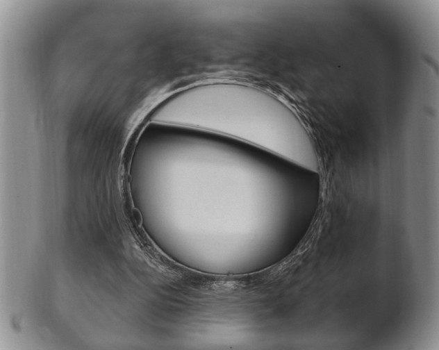 X0000102500152200808080952