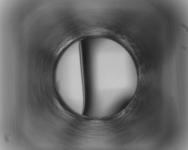 X0000102500154200808080952