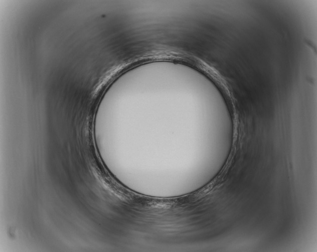 X0000102500155200808080952