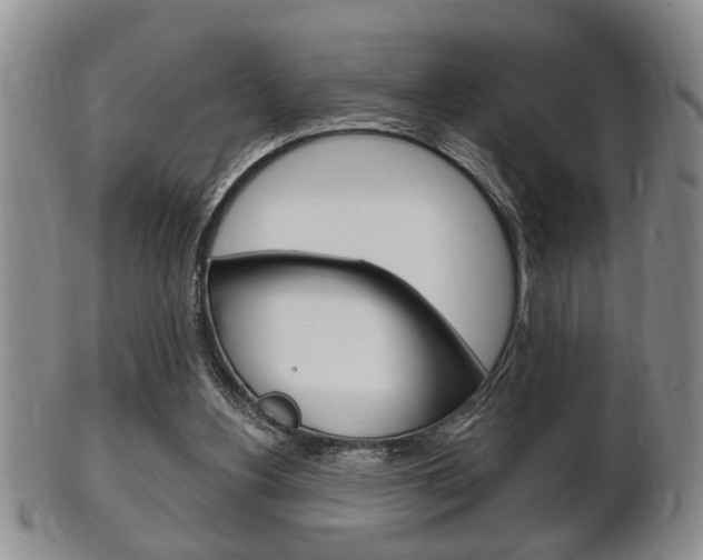 X0000102500156200808080952