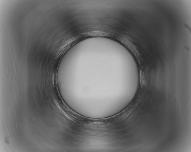 X0000102500157200808080952