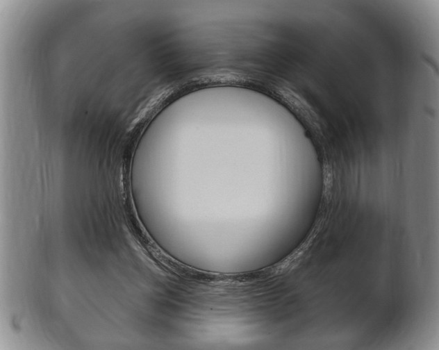 X0000102500158200808080952