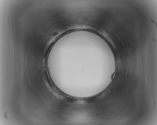 X0000102500159200808080952