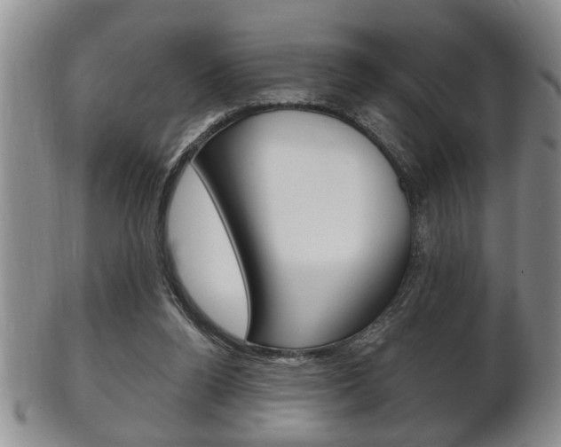X0000102500160200808080952