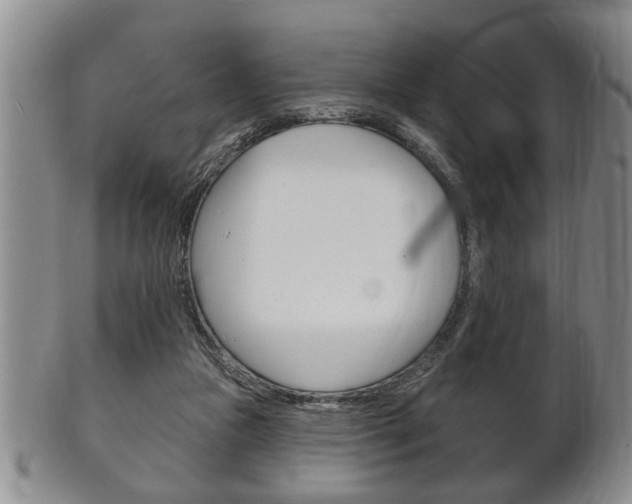 X0000102500161200808080952