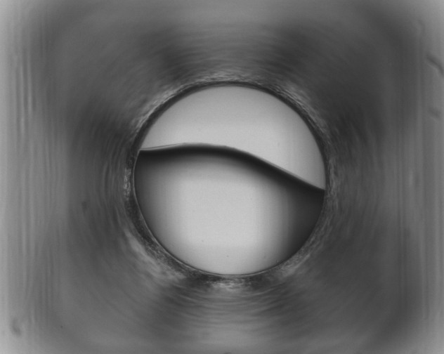 X0000102500164200808080953