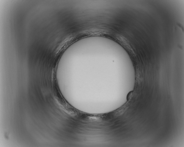 X0000102500167200808080953