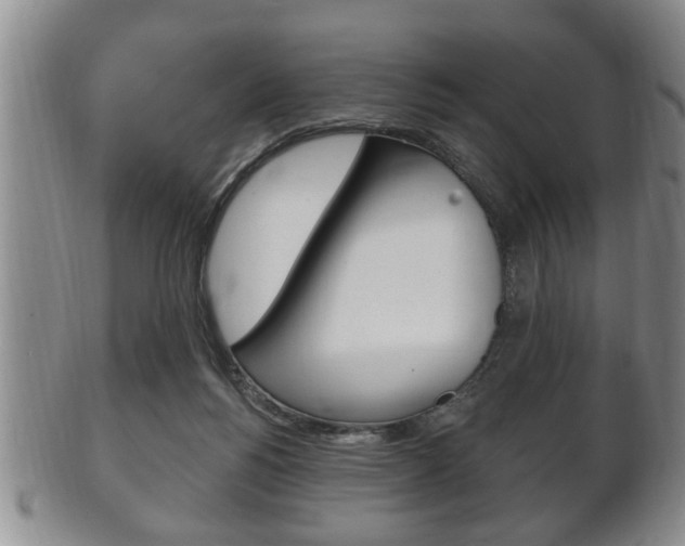 X0000102500168200808080953