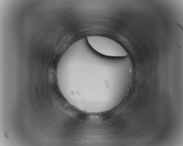 X0000102500169200808080953