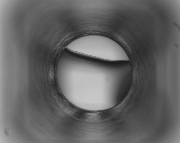 X0000102500170200808080953