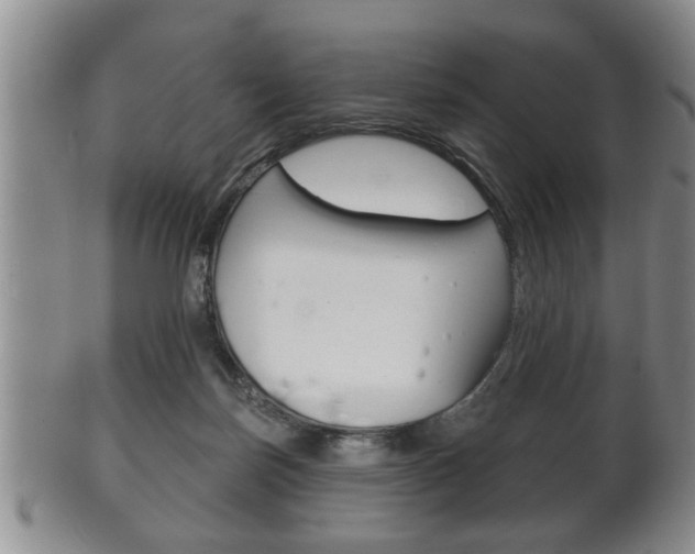 X0000102500171200808080953