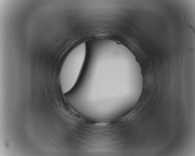 X0000102500172200808080953