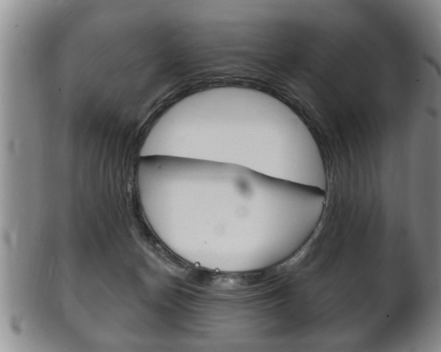 X0000102500174200808080953