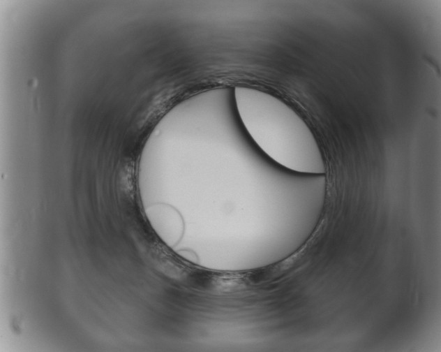 X0000102500175200808080953