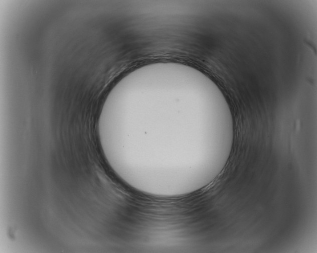 X0000102500176200808080953