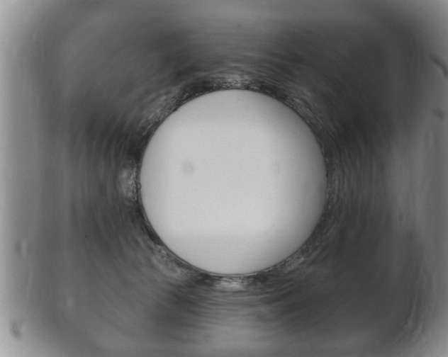 X0000102500177200808080953
