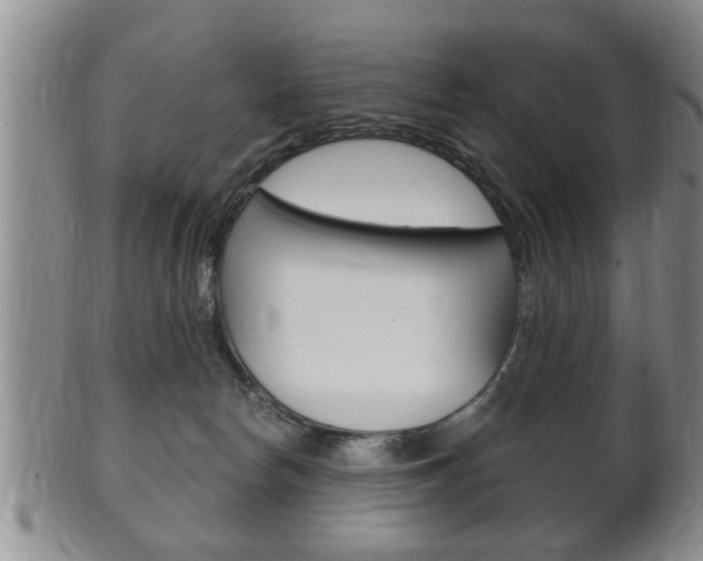 X0000102500178200808080953