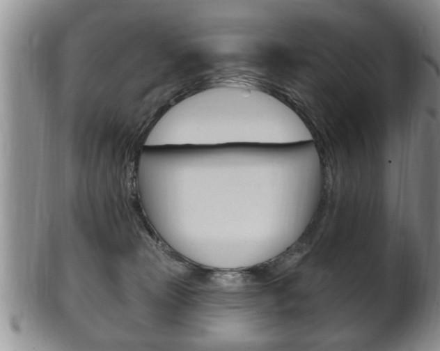 X0000102500181200808080953