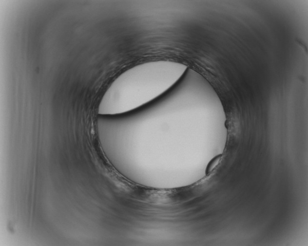 X0000102500182200808080953
