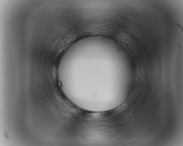 X0000102500184200808080953