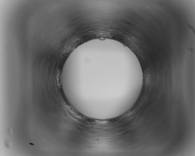X0000102500185200808080953