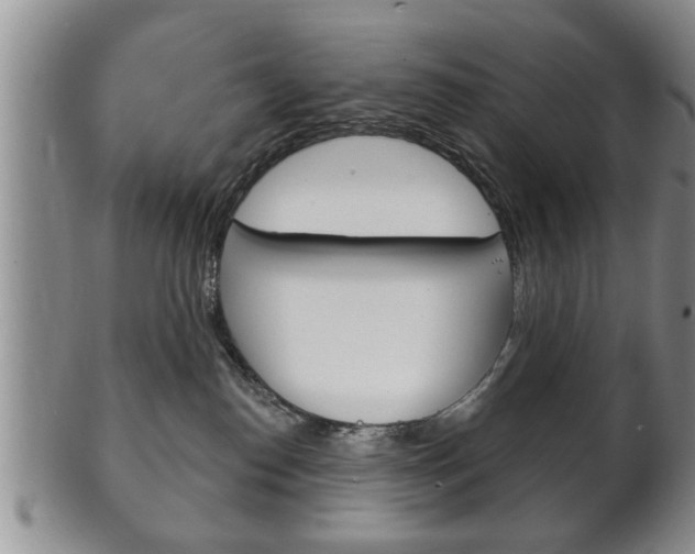 X0000102500186200808080953
