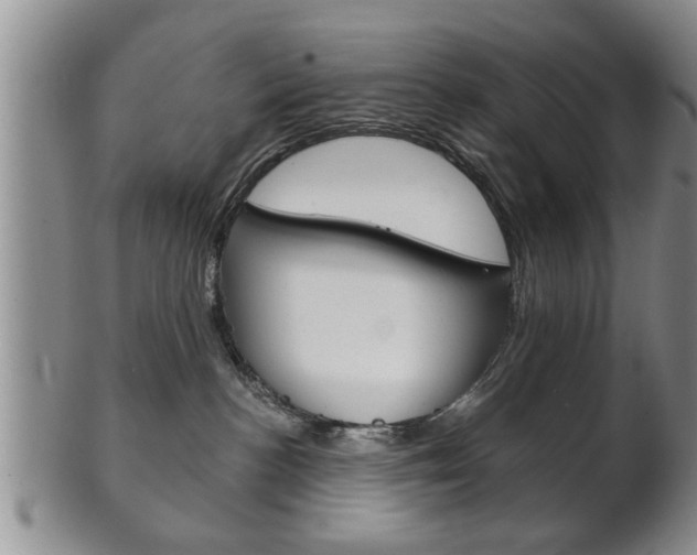 X0000102500188200808080953