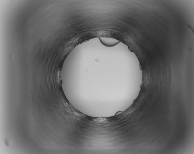 X0000102500189200808080953
