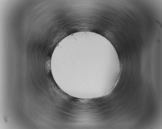 X0000102500190200808080953