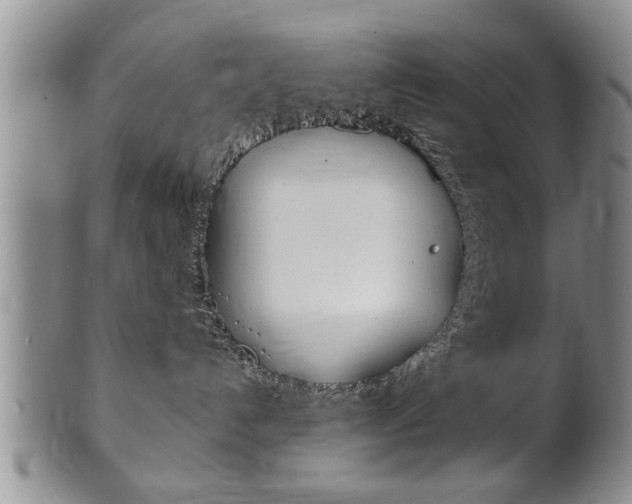 X0000102500192200808080953