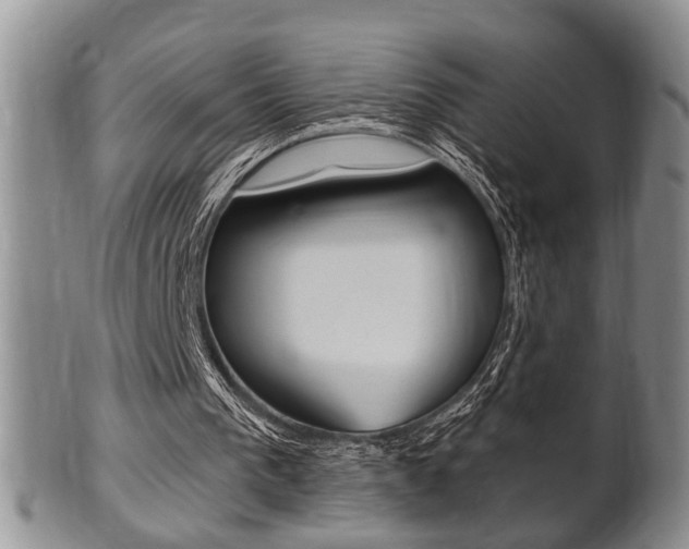 X0000102500193200808080952