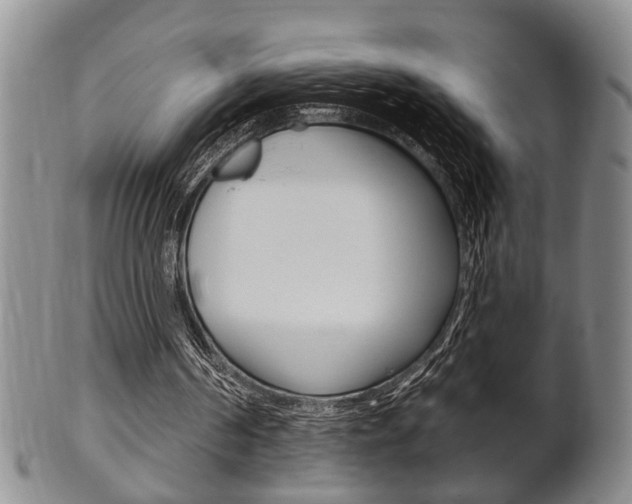 X0000102500194200808080952