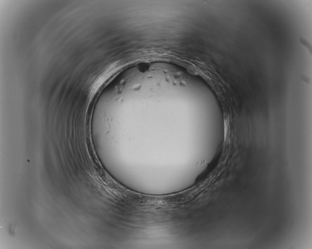 X0000102500195200808080952