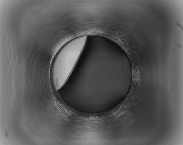 X0000102500196200808080952