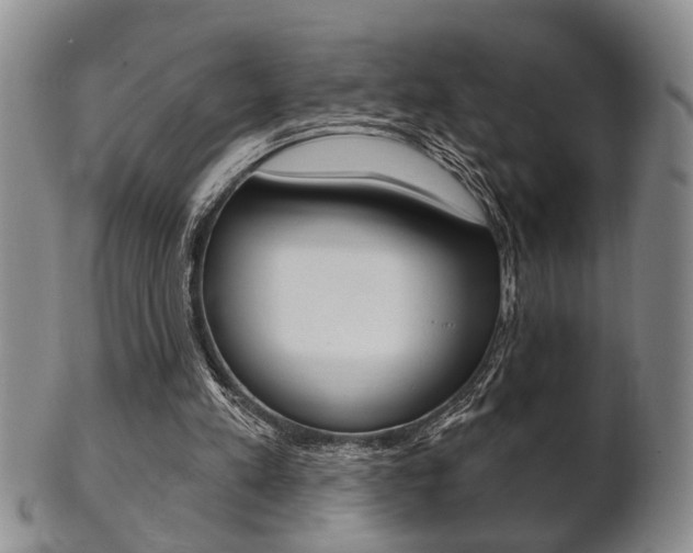 X0000102500197200808080952