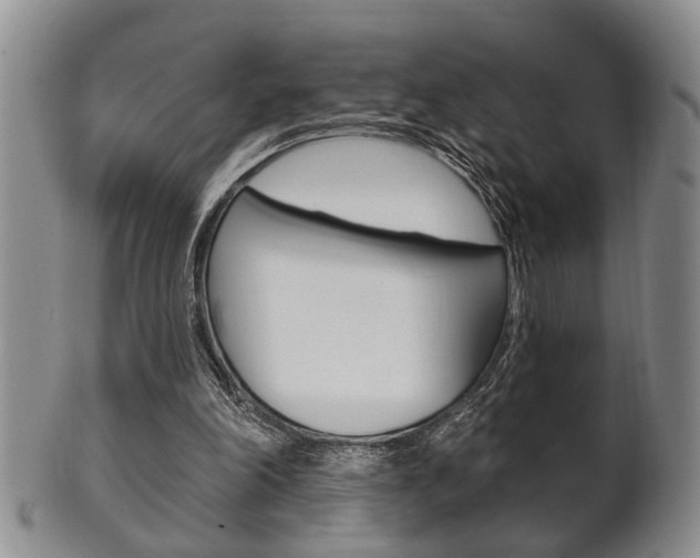 X0000102500198200808080952