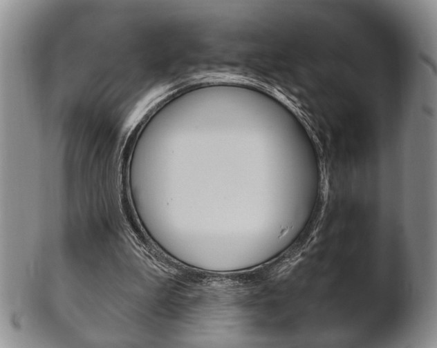 X0000102500199200808080952