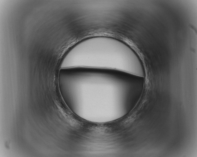 X0000102500201200808080952