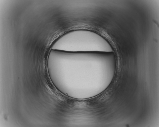 X0000102500202200808080952
