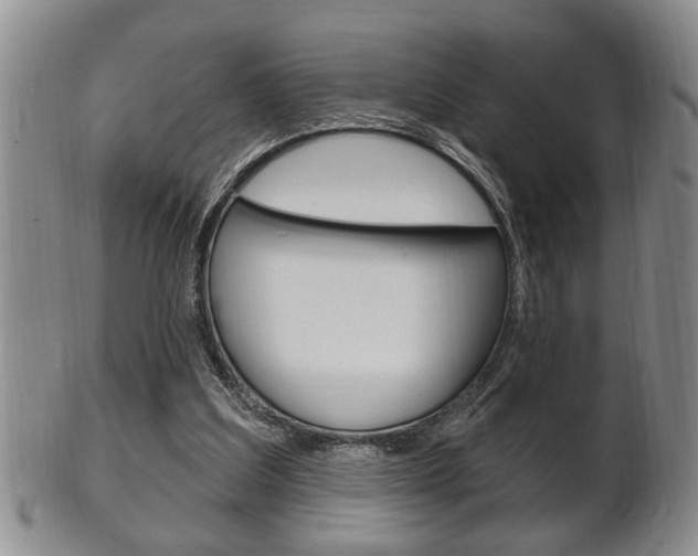 X0000102500203200808080952