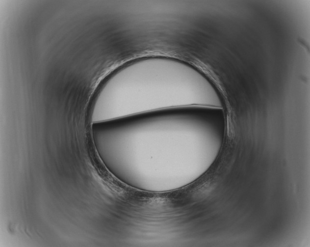 X0000102500204200808080952
