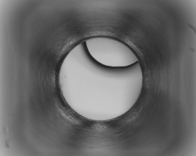 X0000102500207200808080952