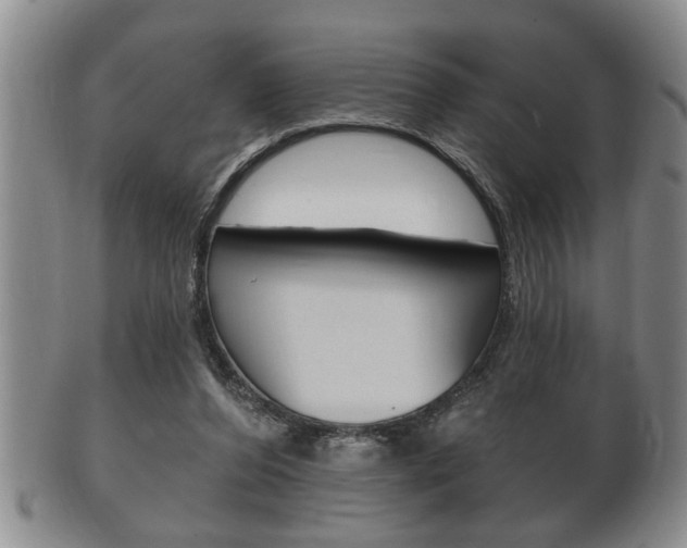 X0000102500208200808080952
