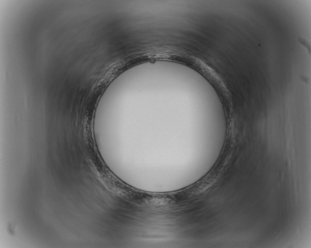 X0000102500209200808080952